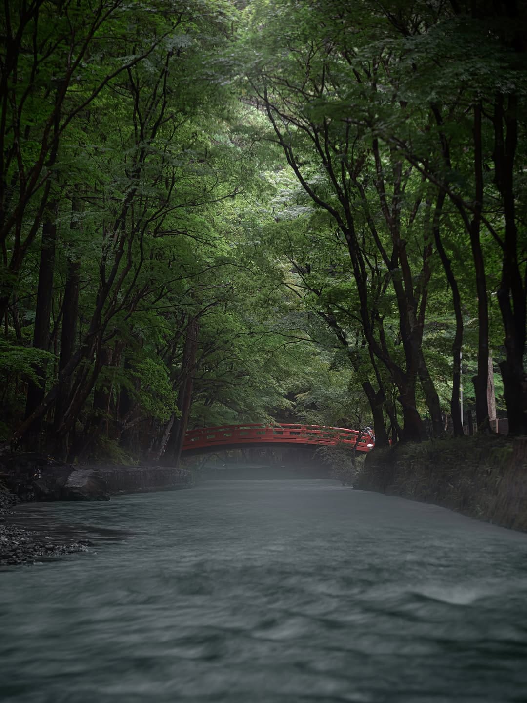Post 3 by うみさん𝑺𝒉𝒊𝒛𝒖𝒐𝒌𝒂🇯🇵𝑱𝑨𝑷𝑨𝑵 on Instagram (image)