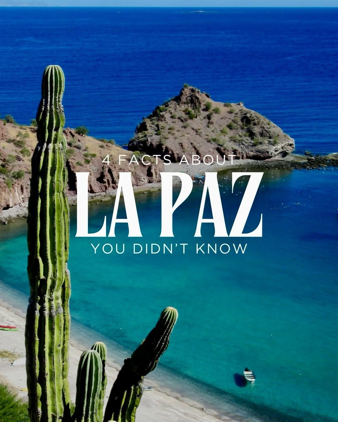 Post 3 by CASA CAROUSEL |  La Paz, Baja California Sur on Instagram (carousel)