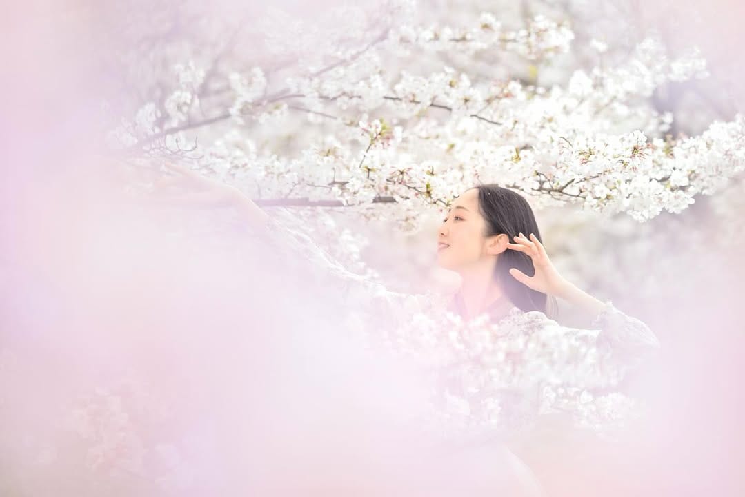 Post 8 by たけたけ | バレエやポートレート撮影 on Instagram (image)