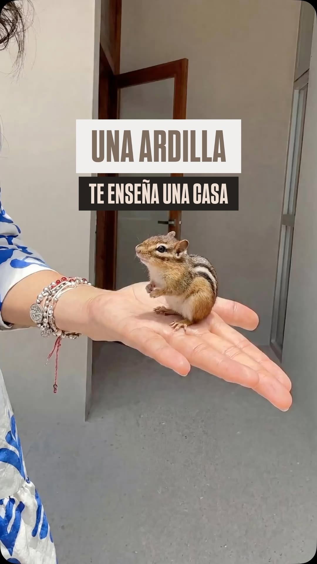Post 8 by Pablo Adame on Instagram (video)