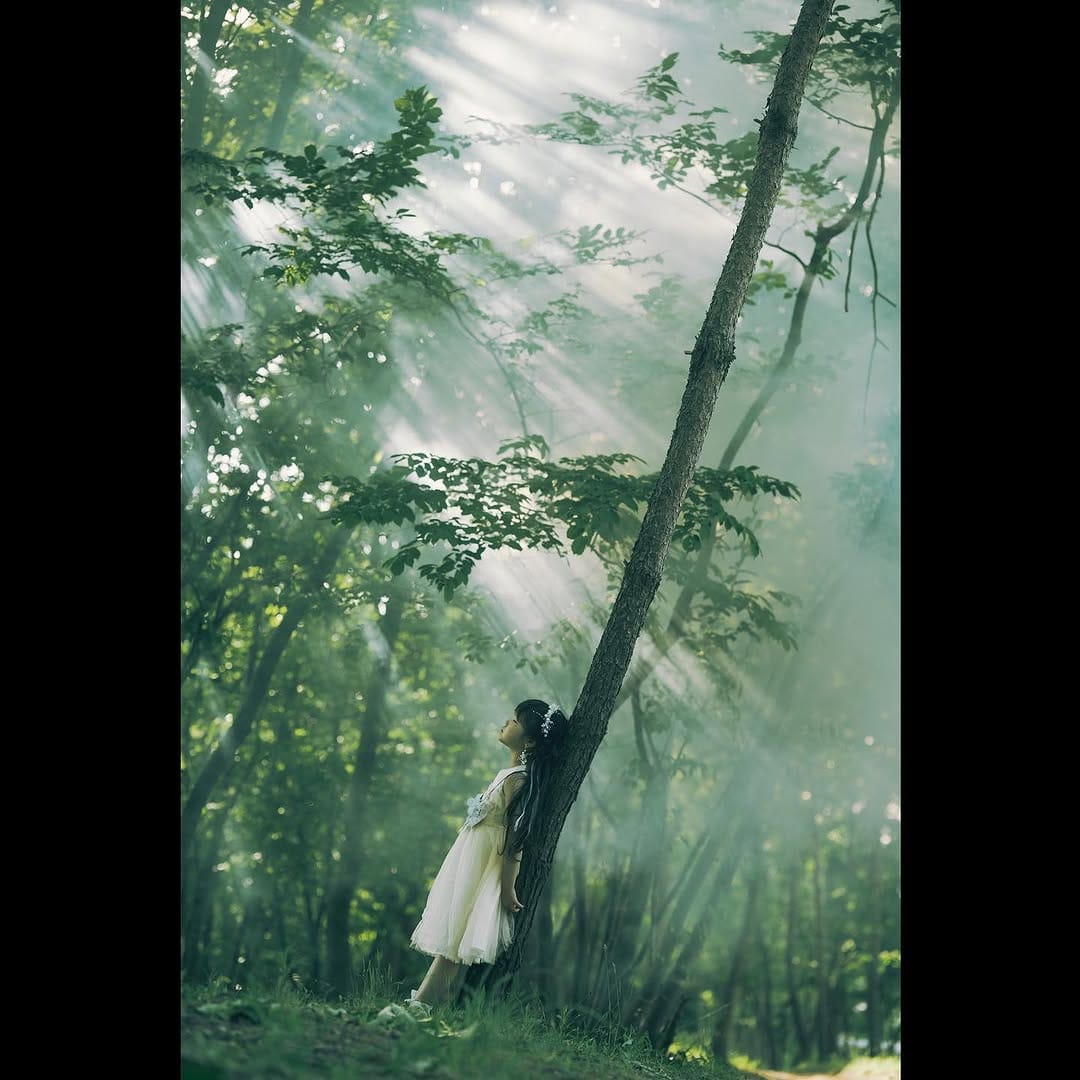 Post 10 by Hiroyuki Kon｜ 新潟県出張フォトグラファー on Instagram (image)