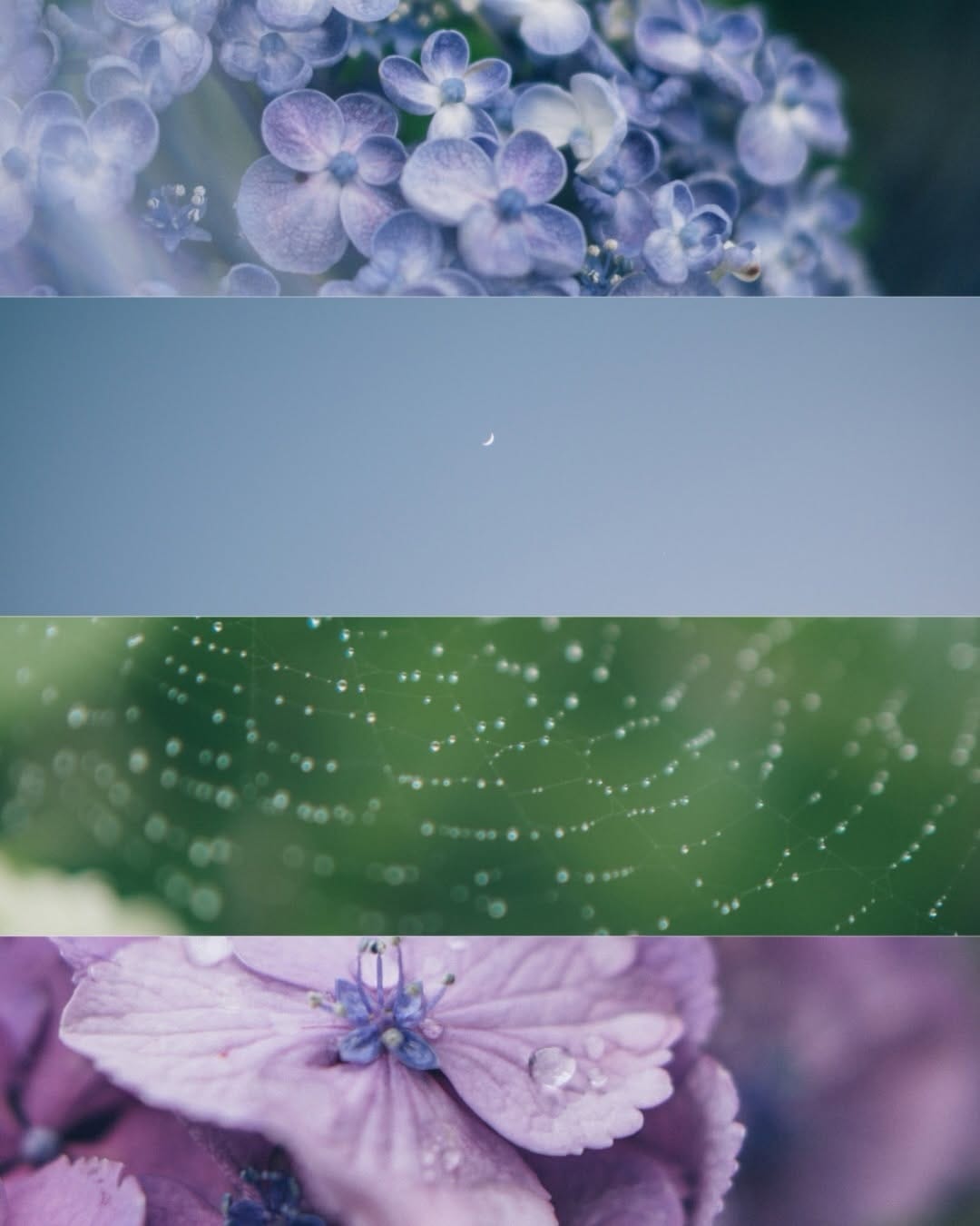 Post 6 by Océane ⋆☽꙳ on Instagram (carousel)