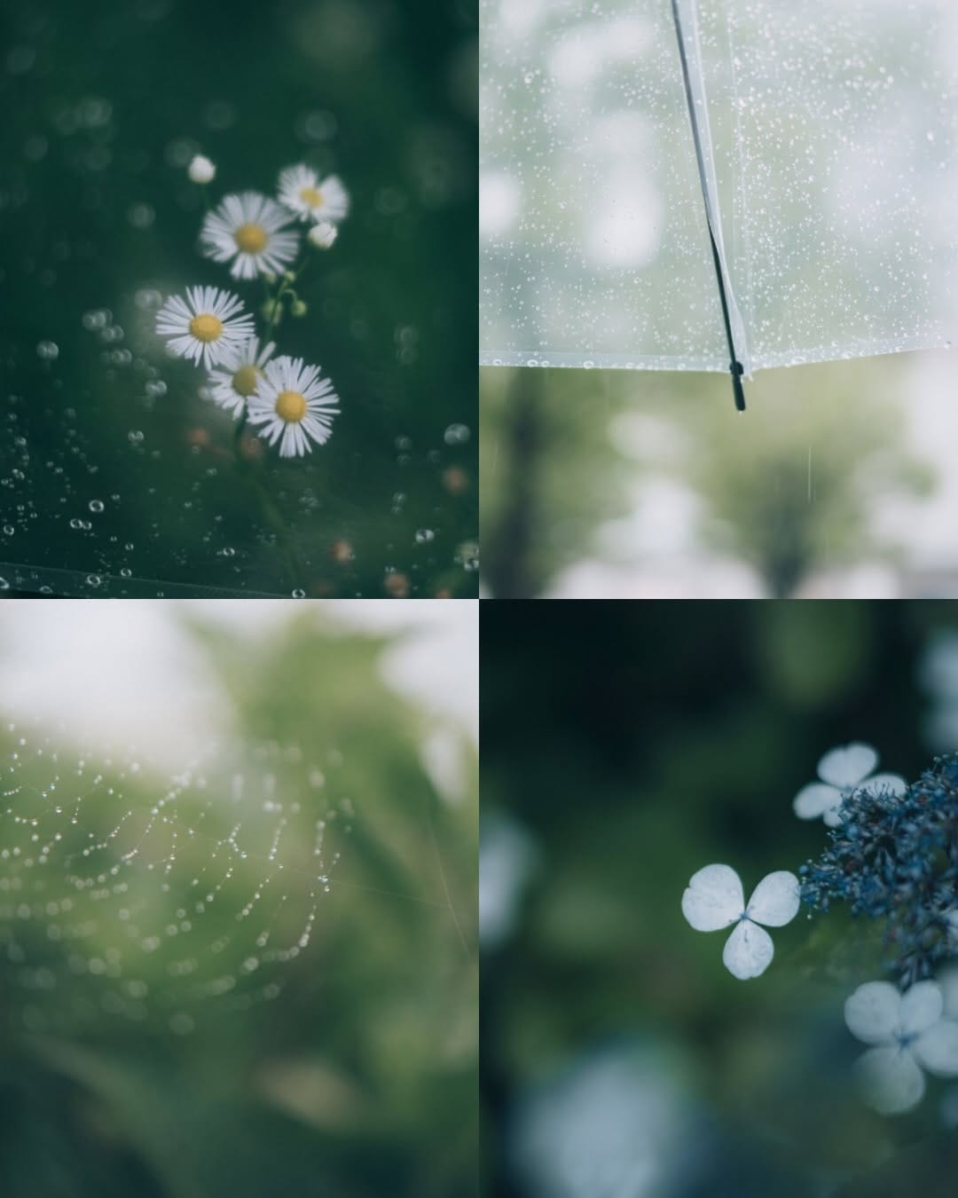 Post 1 by Océane ⋆☽꙳ on Instagram (carousel)