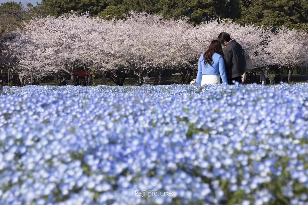 Post 2 by photographykaji on Instagram (image)