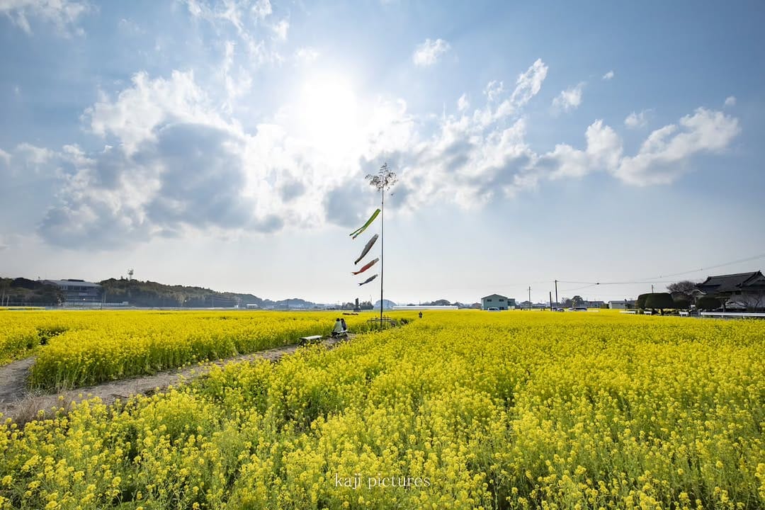 Post 10 by photographykaji on Instagram (image)