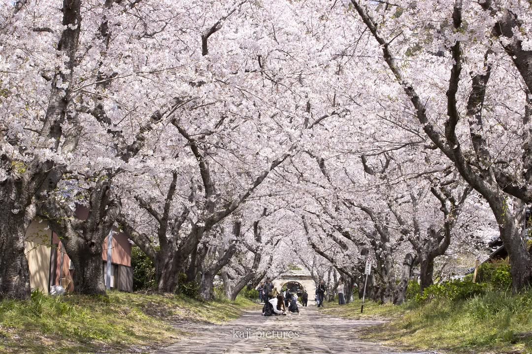 Post 9 by photographykaji on Instagram (image)