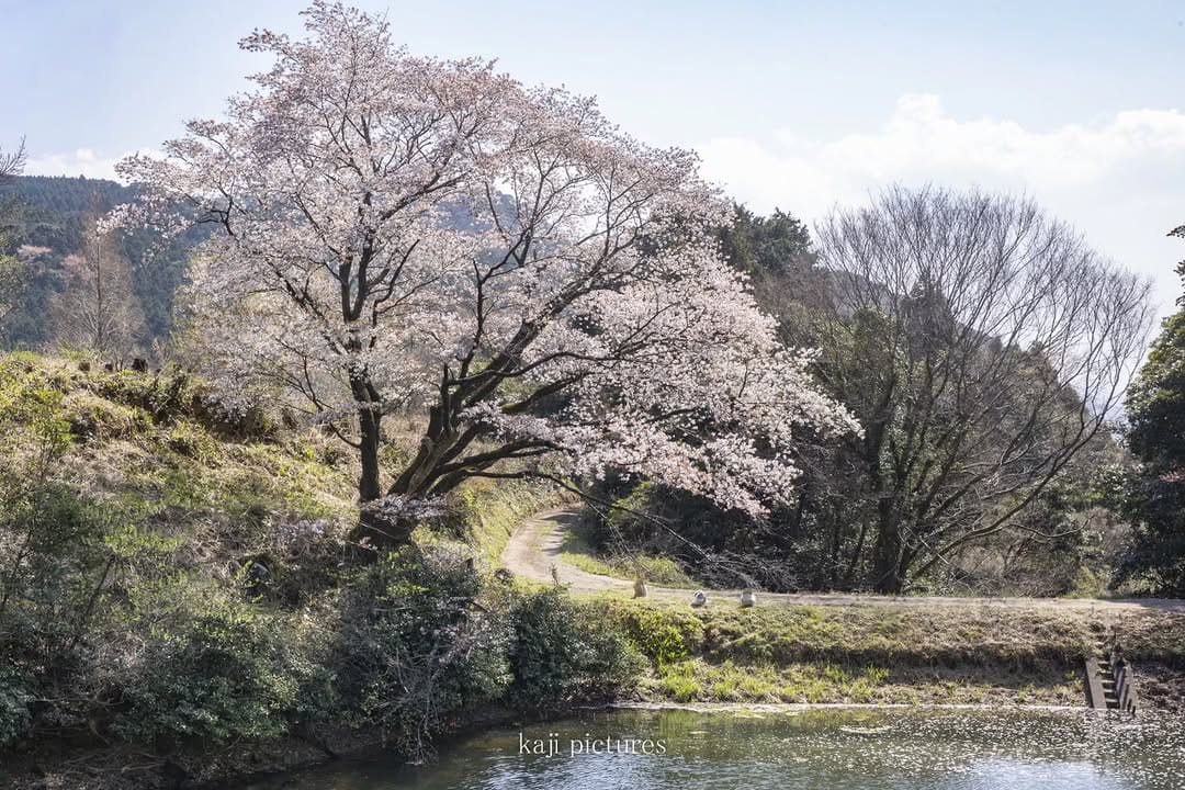 Post 5 by photographykaji on Instagram (image)
