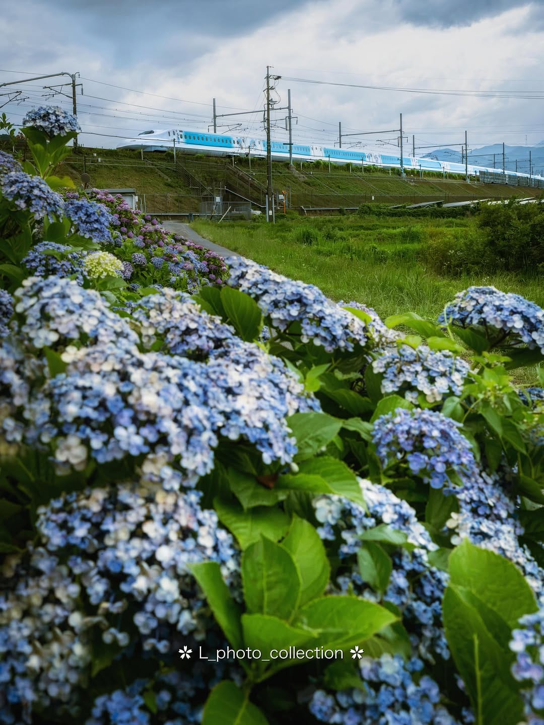Post 6 by 𝐚𝐬𝐚 🌱 on Instagram (image)