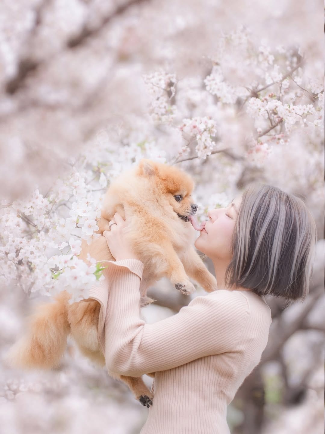 Post 10 by 🐠🧜‍♀️kikyo🧜‍♀️🐠 on Instagram (image)