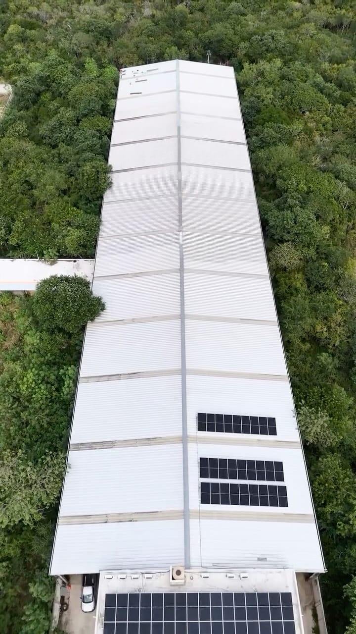 Post 9 by Elemetic on Instagram (video)