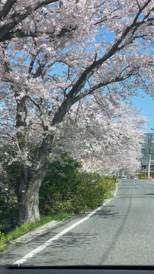Post 1 by 海色 on Instagram (video)