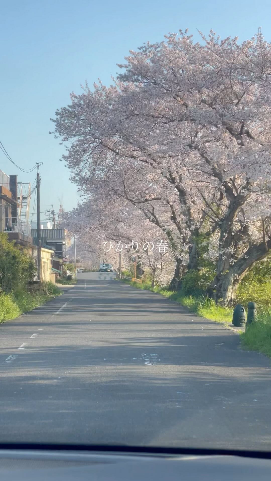 Post 9 by 海色 on Instagram (video)