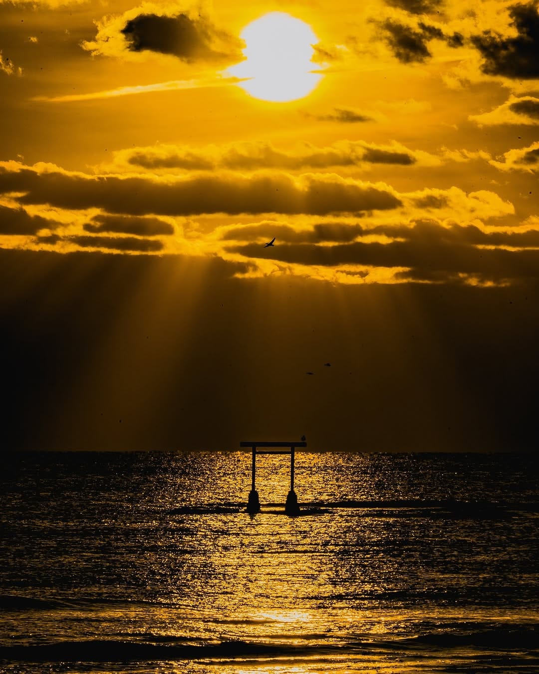 Post 6 by eiki hosomi on Instagram (image)
