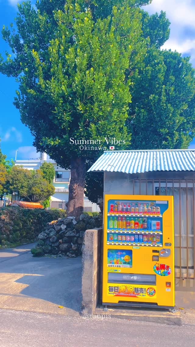 Post 5 by らんぴす on Instagram (video)