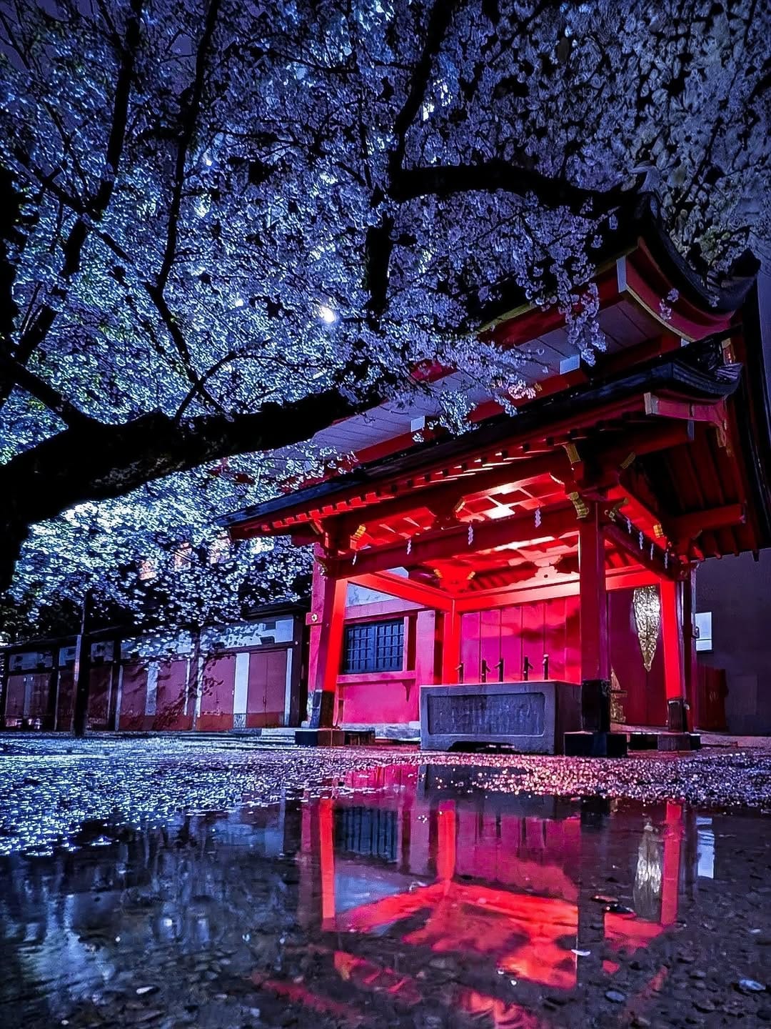 Post 3 by 𝕪𝕦𝕦𝕒𝕞 on Instagram (image)