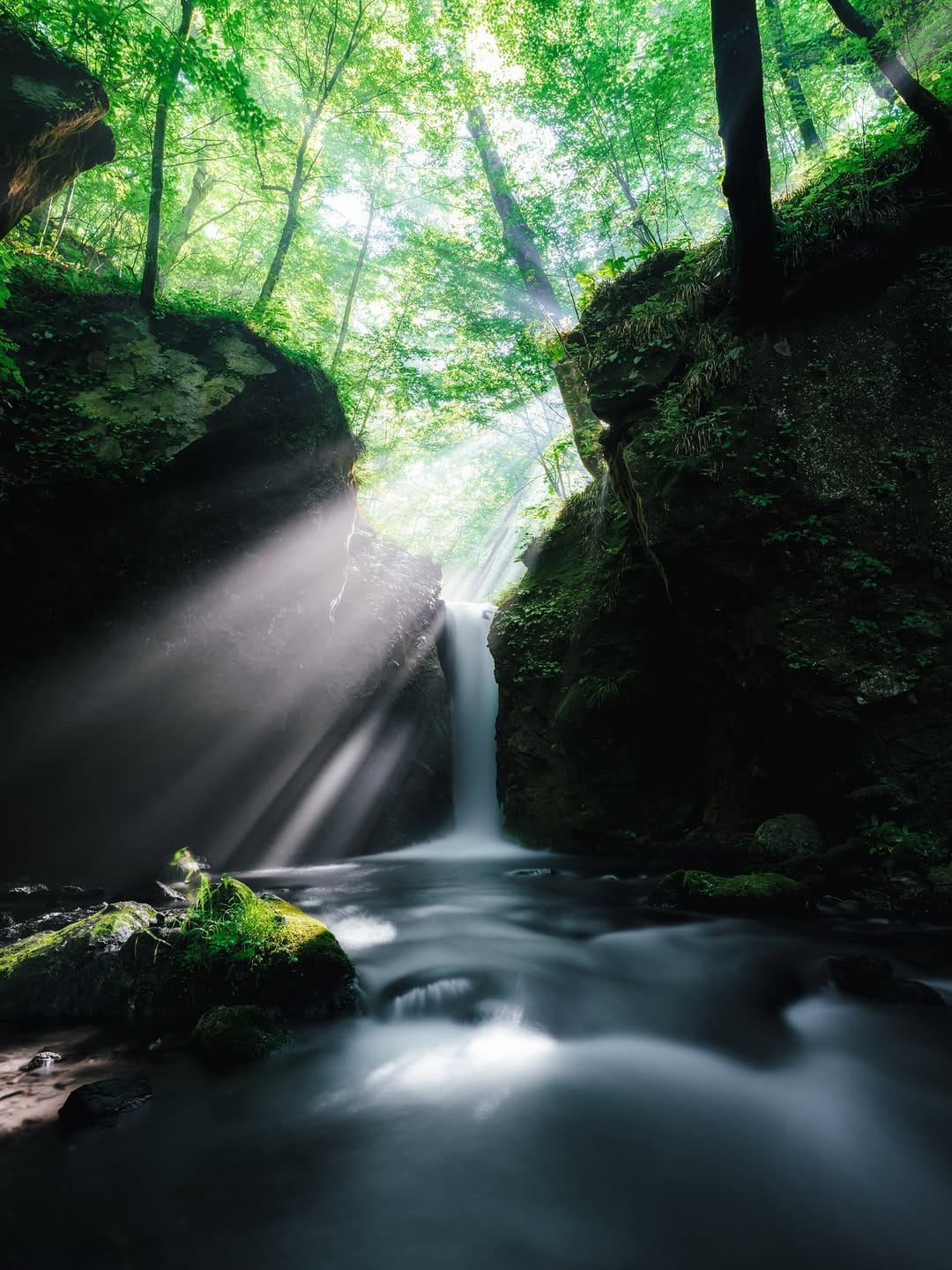 Post 2 by わしま on Instagram (image)