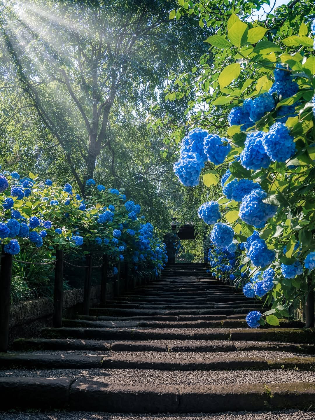 Post 6 by わしま on Instagram (image)
