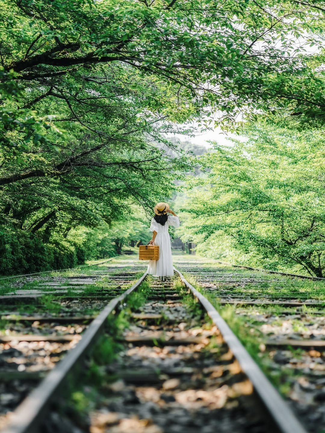 Post 8 by わしま on Instagram (image)