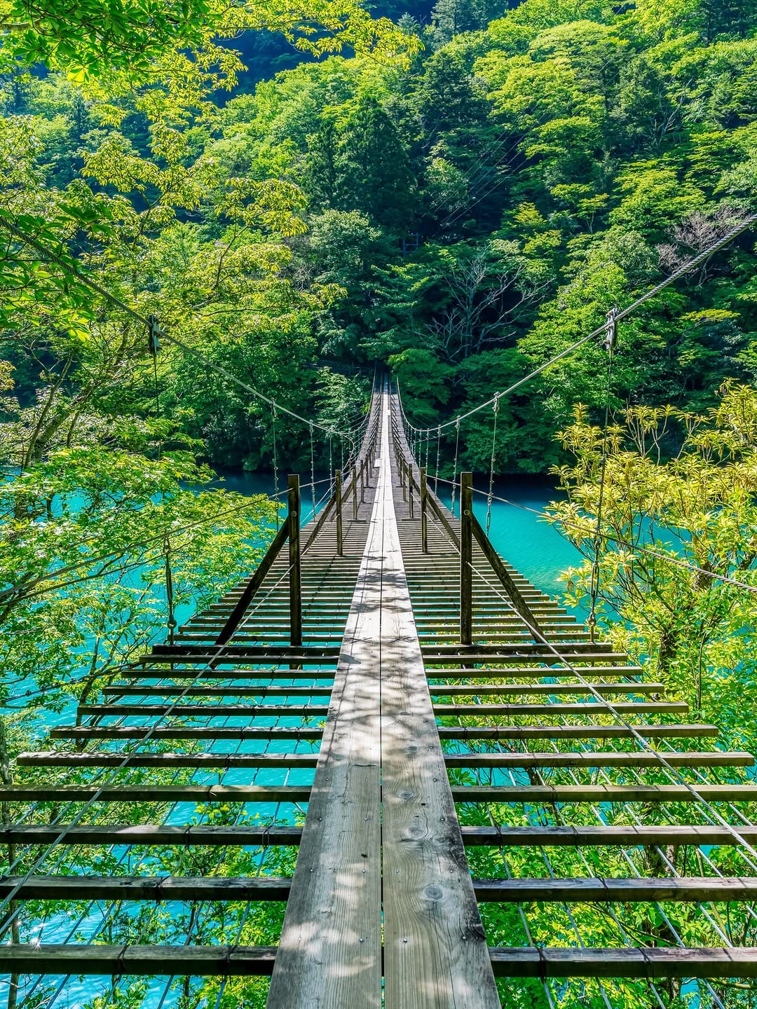 Post 10 by わしま on Instagram (image)
