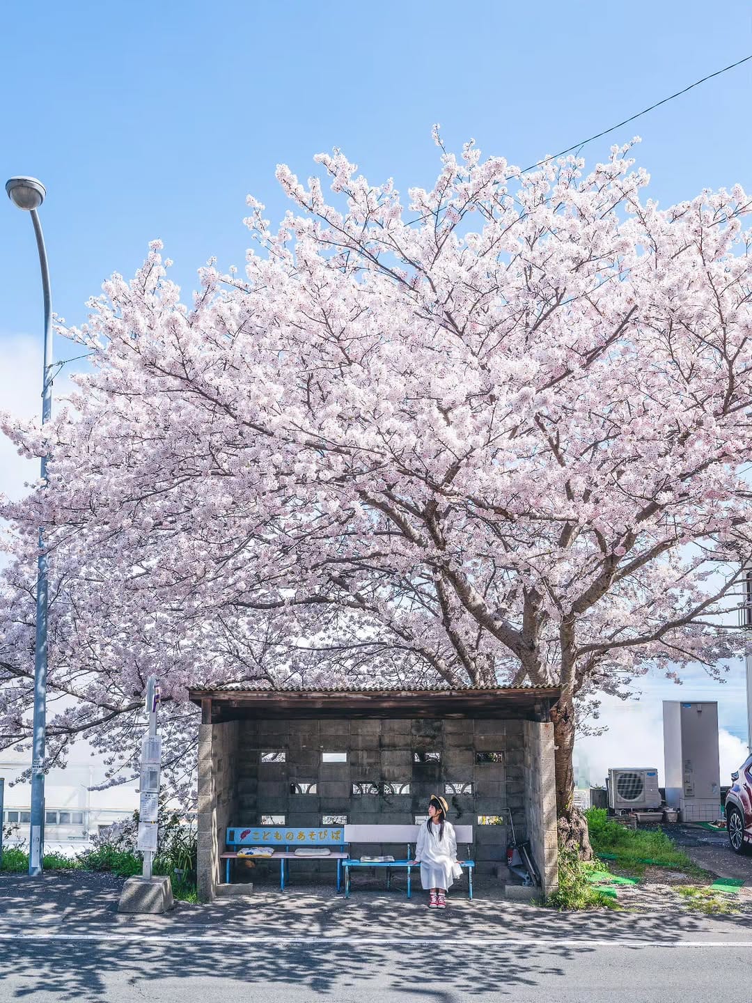 Post 4 by NoriyukiKajiwara/梶原 憲之 on Instagram (image)