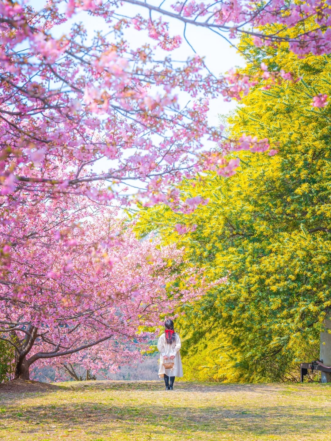 Post 7 by NoriyukiKajiwara/梶原 憲之 on Instagram (image)