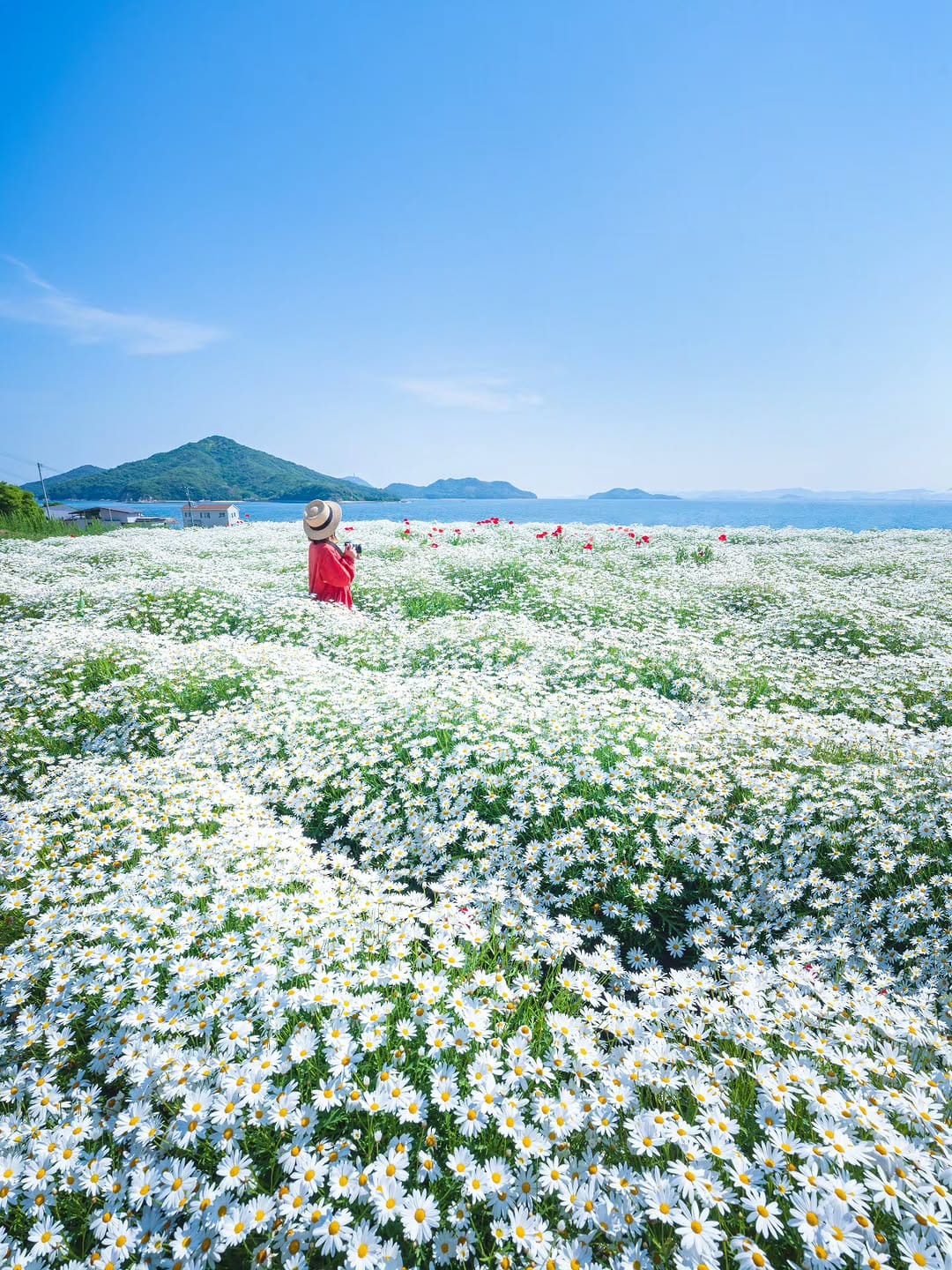Post 2 by NoriyukiKajiwara/梶原 憲之 on Instagram (image)