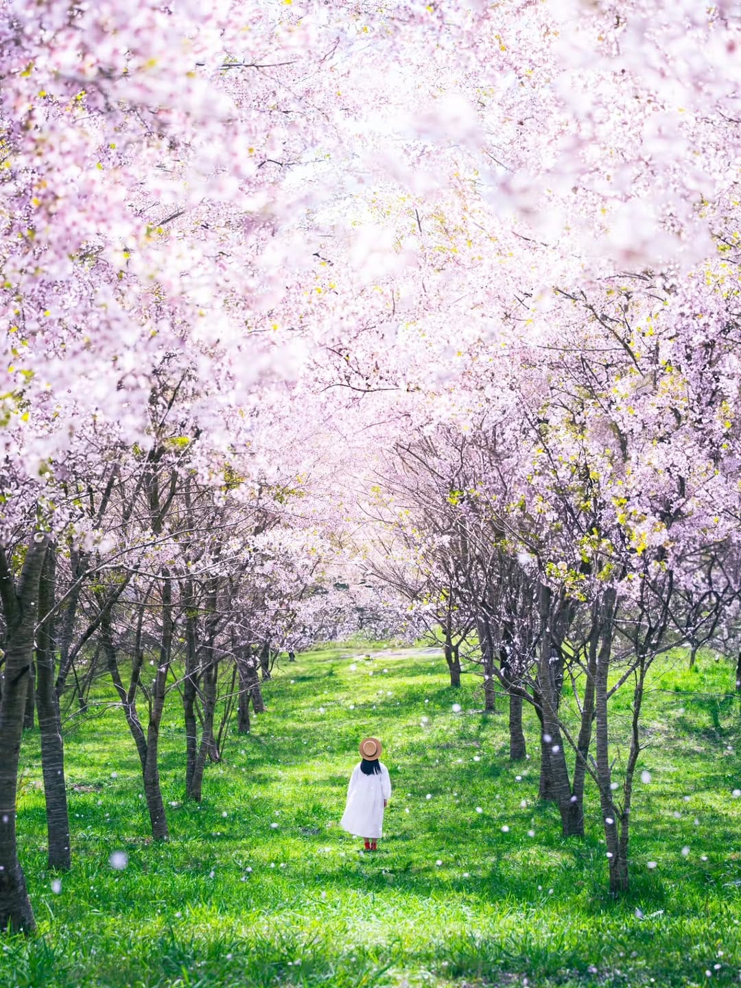 Post 5 by NoriyukiKajiwara/梶原 憲之 on Instagram (carousel)