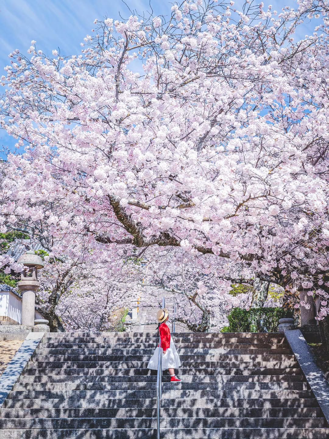 Post 3 by NoriyukiKajiwara/梶原 憲之 on Instagram (image)