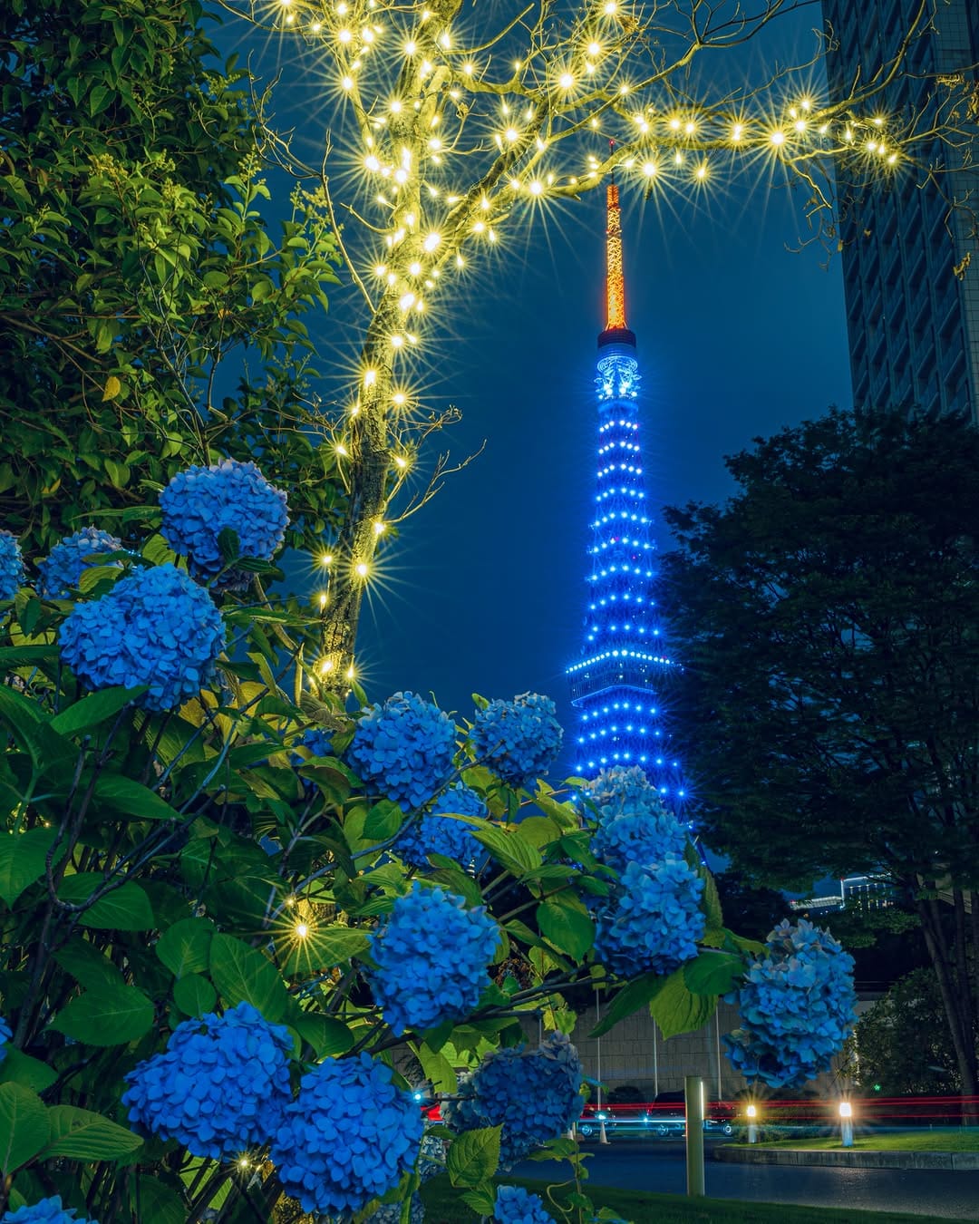 Post 1 by Soy/ソイ on Instagram (image)