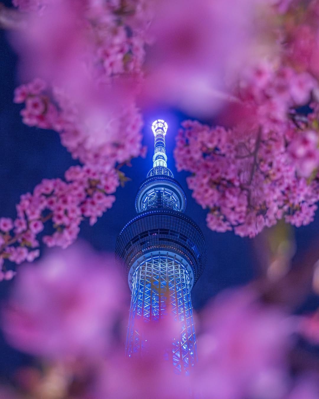 Post 9 by Soy/ソイ on Instagram (image)