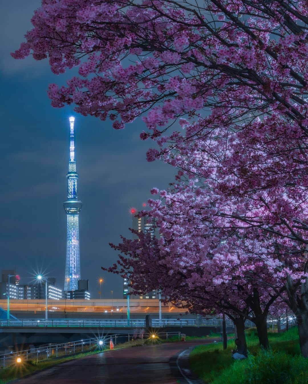 Post 8 by Soy/ソイ on Instagram (carousel)