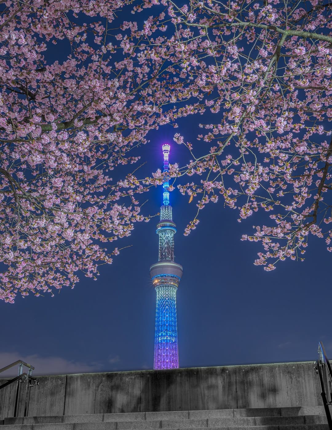 Post 7 by Soy/ソイ on Instagram (image)