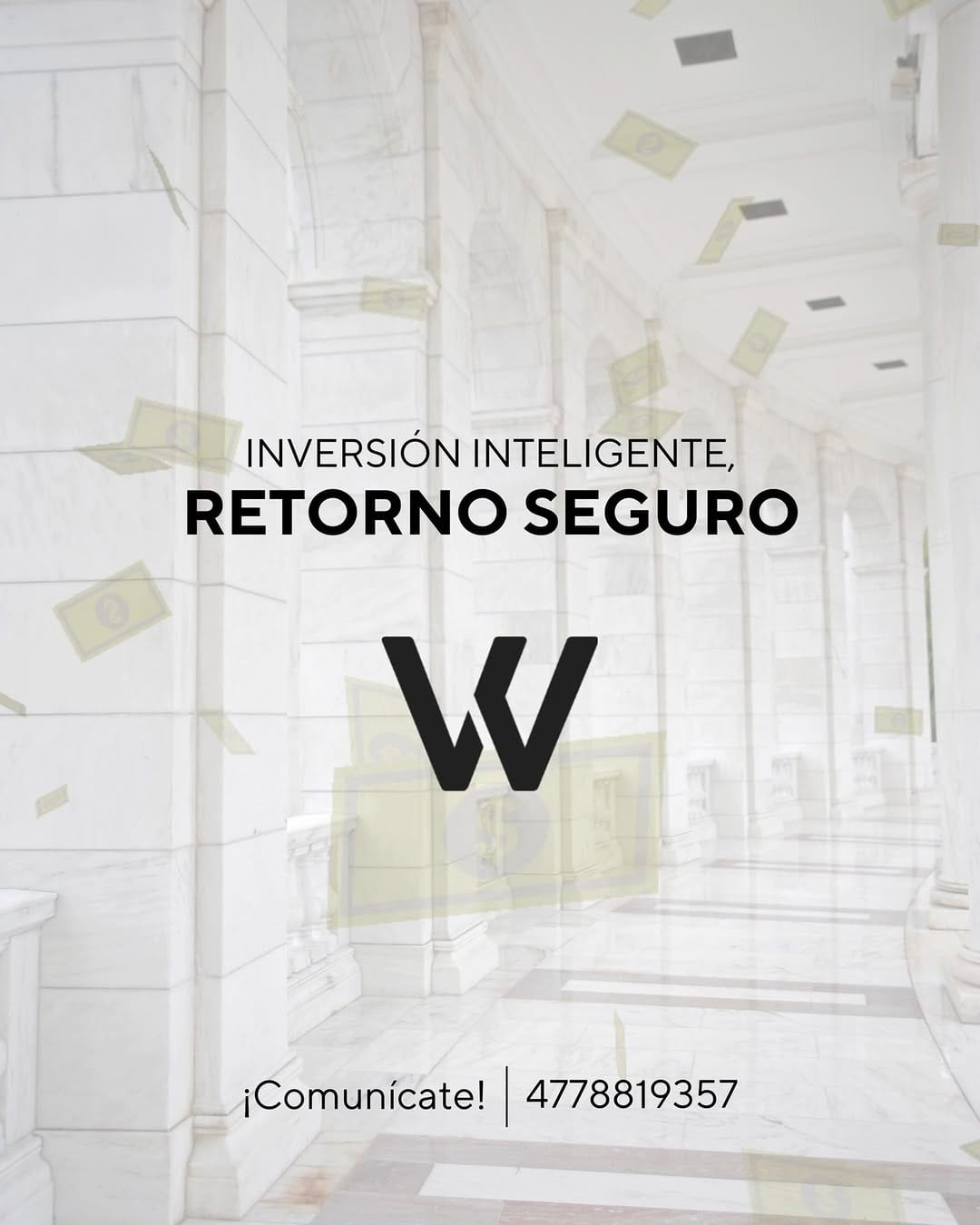 Post 2 by WUER CAPITAL on Instagram (video)