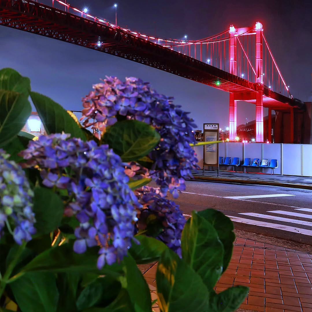 Post 7 by Tomofumi Oishi  夜景フォトグラファー        【北九州市/福岡市/下関市】 on Instagram (image)