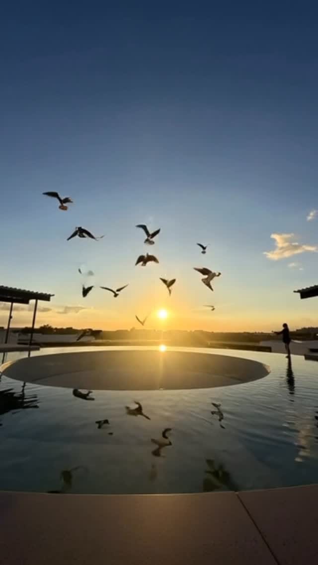 Post 3 by Los Amigos Tulum ® on Instagram (video)