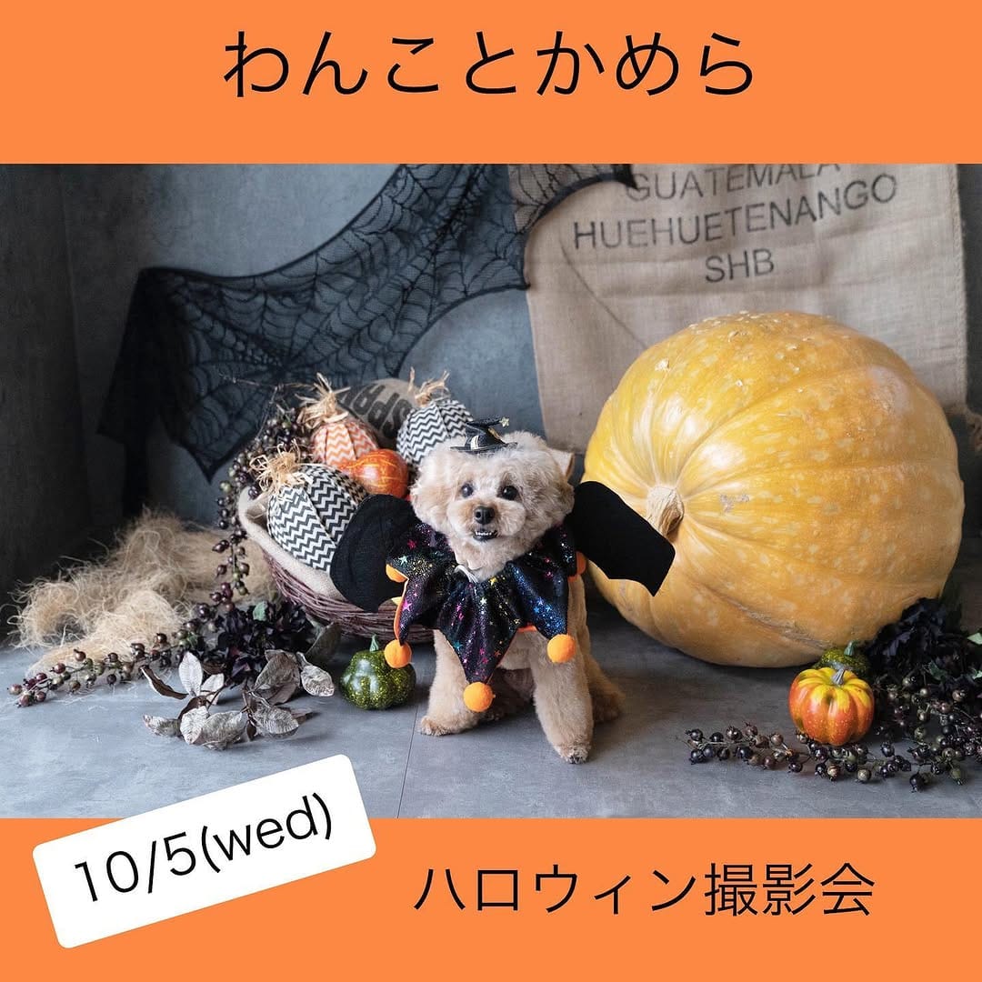 Post 10 by yuki on Instagram (carousel)