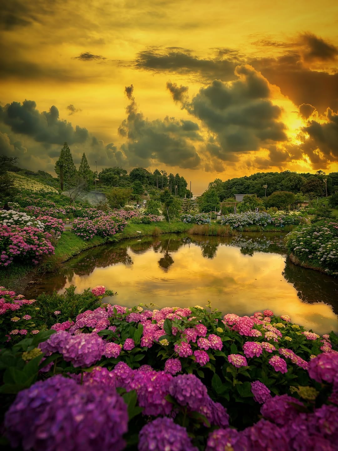Post 1 by ㋳㋮㋣㋲ on Instagram (image)