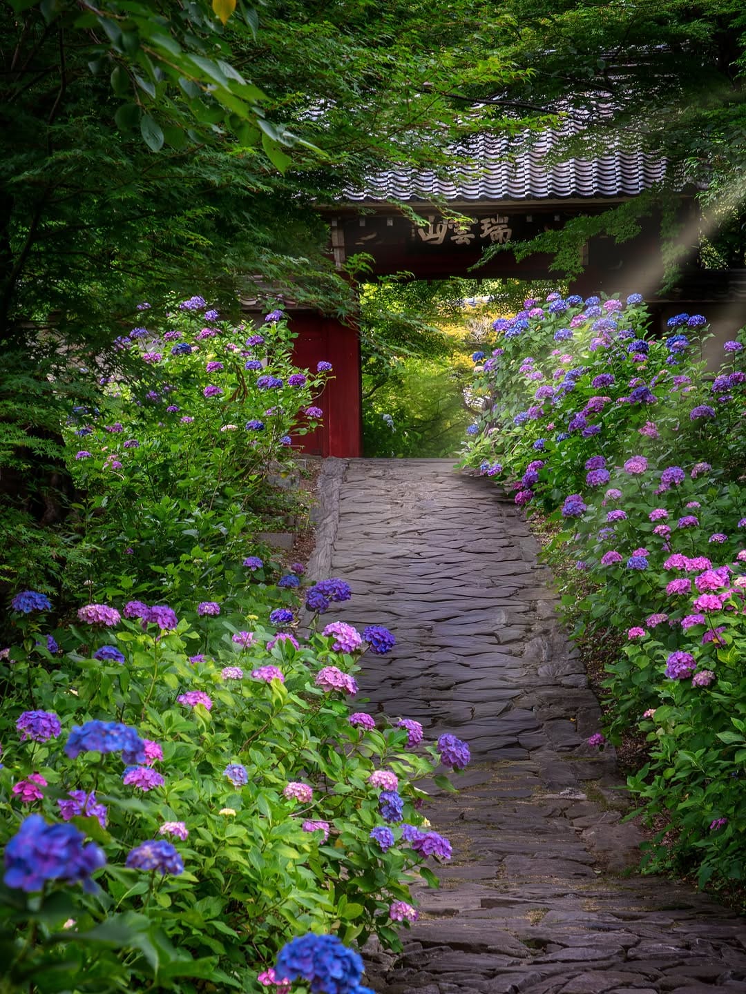 Post 5 by ㋳㋮㋣㋲ on Instagram (image)