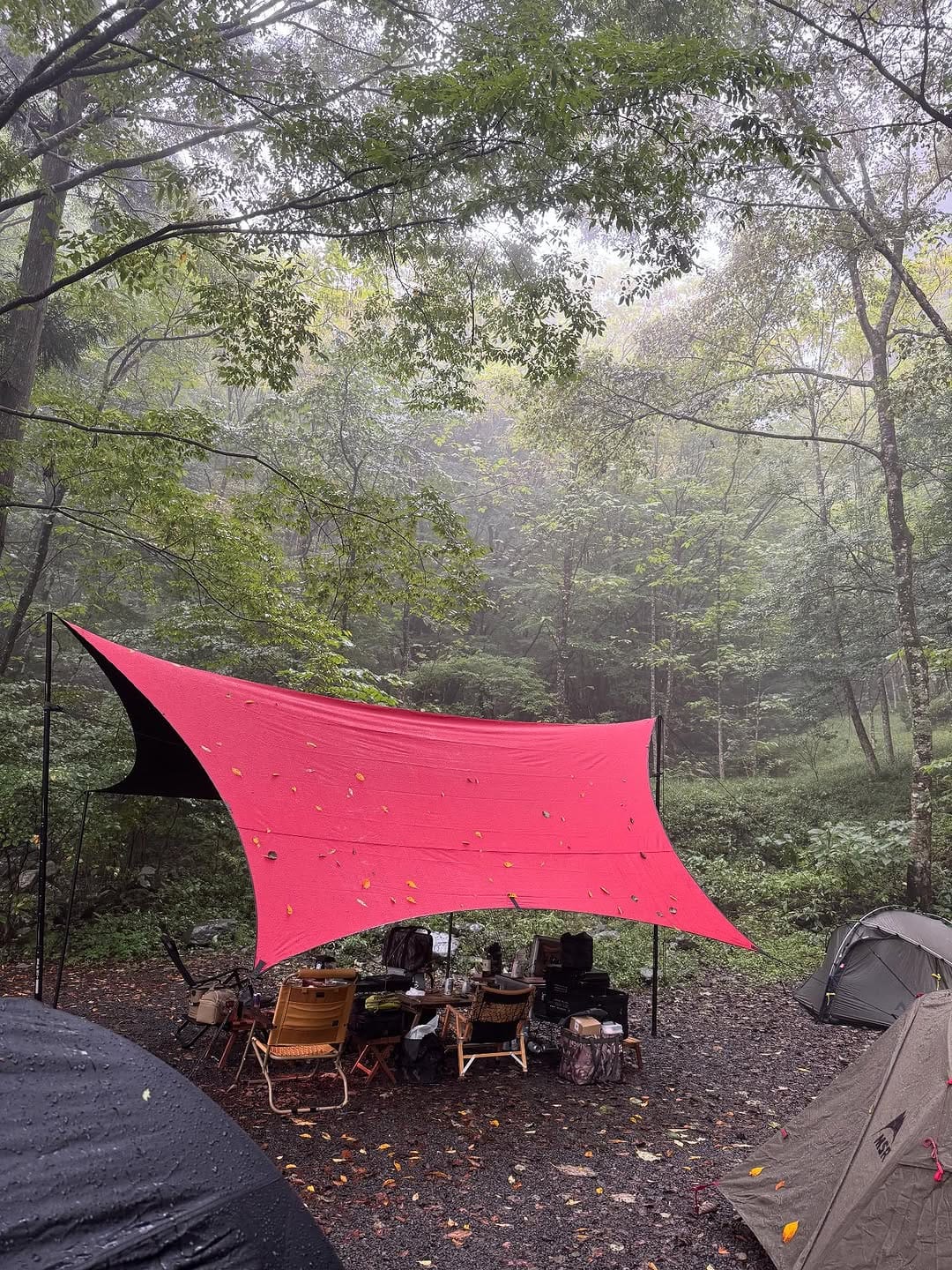 Post 8 by cheshi55 CAMP🏕 on Instagram (carousel)