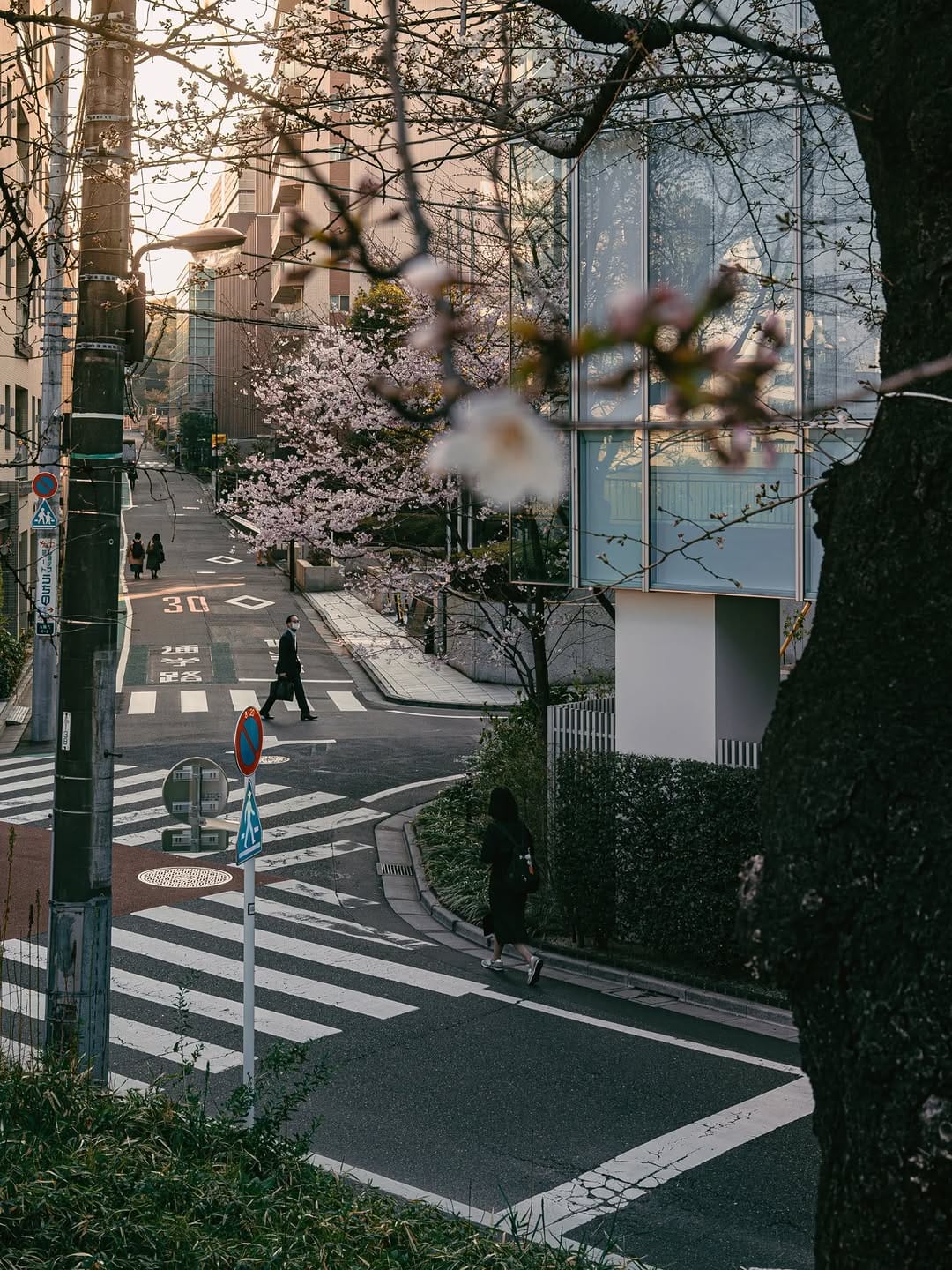 Post 9 by Sampo さんぽ on Instagram (carousel)