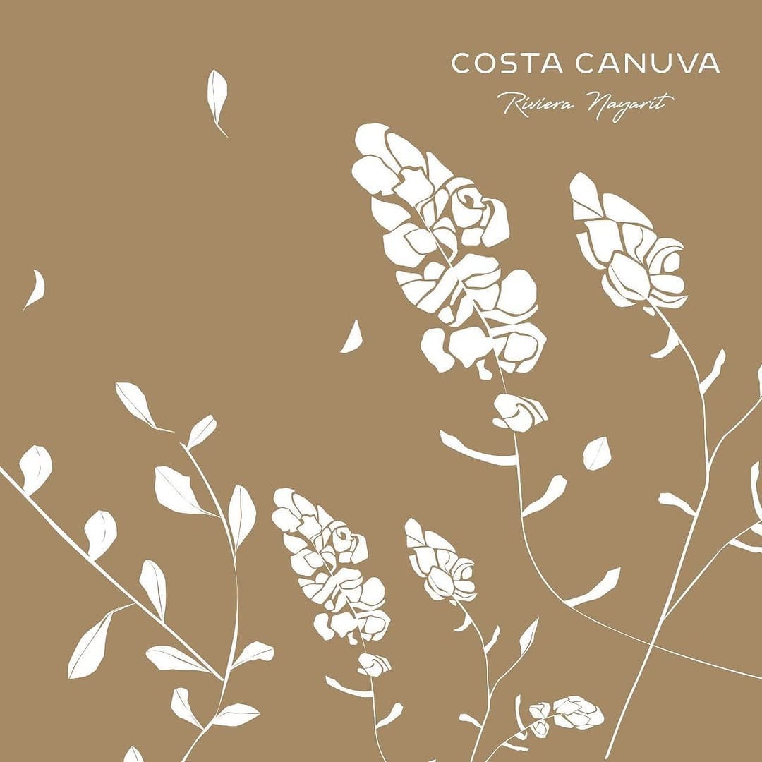 Post 3 by Costa Canuva on Instagram (image)