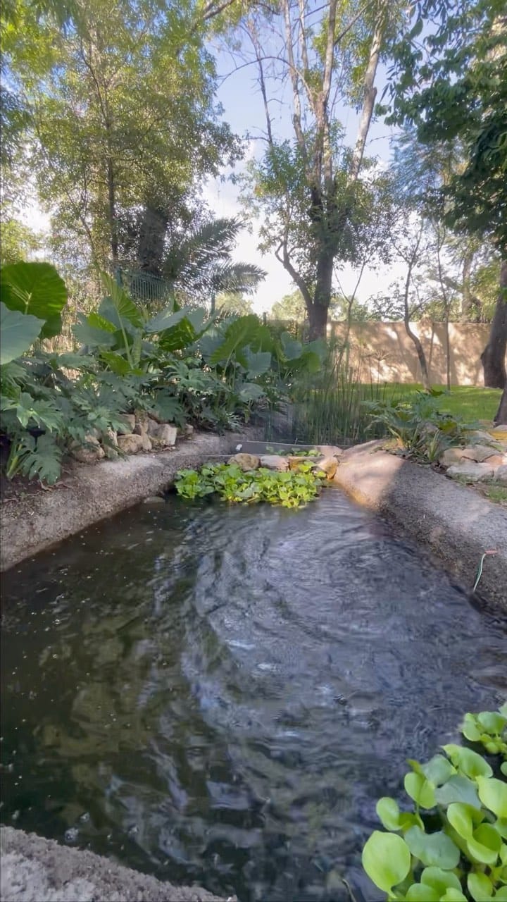 Post 9 by Arq. Mariana Lozano on Instagram (video)