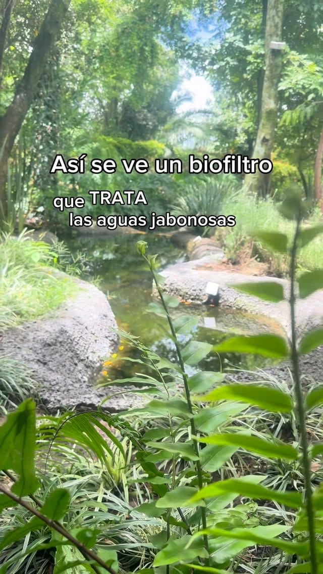 Post 7 by Arq. Mariana Lozano on Instagram (video)