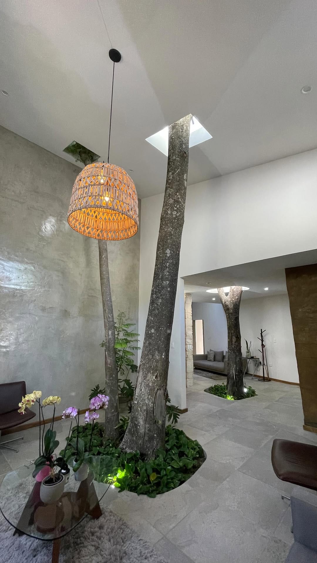 Post 10 by Arq. Mariana Lozano on Instagram (video)
