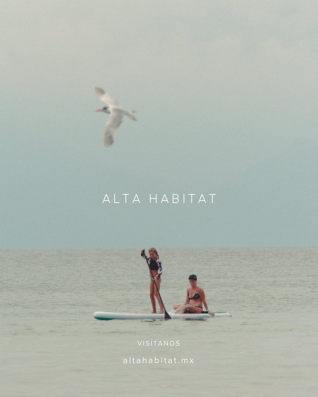 Post 9 by Alta Habitat on Instagram (image)
