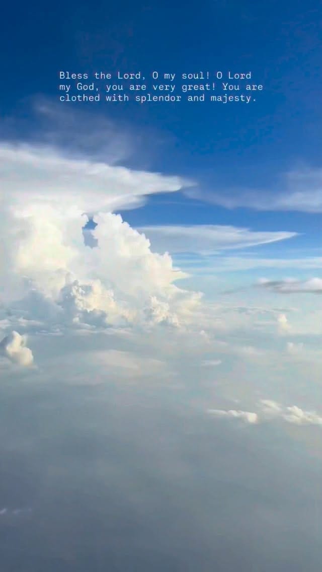 Post 4 by @jasonshah on Instagram (video)