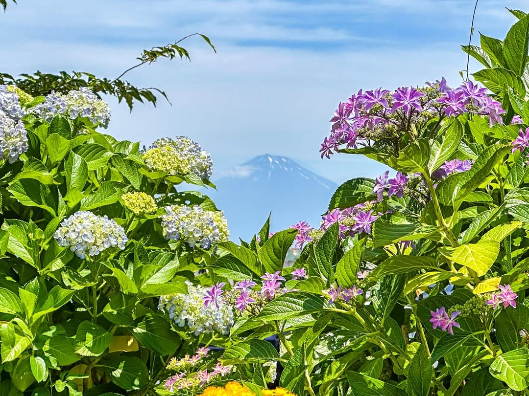 Post 5 by chiaki_mame on Instagram (image)