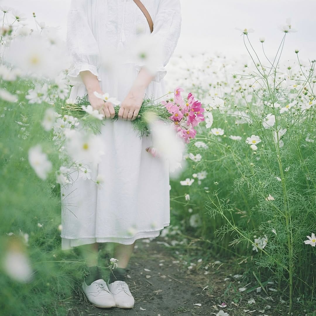 Post 2 by ジョージ on Instagram (image)