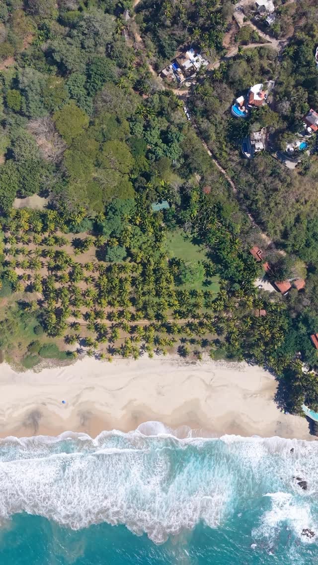 Post 2 by Sayulita Coastal Properties on Instagram (video)