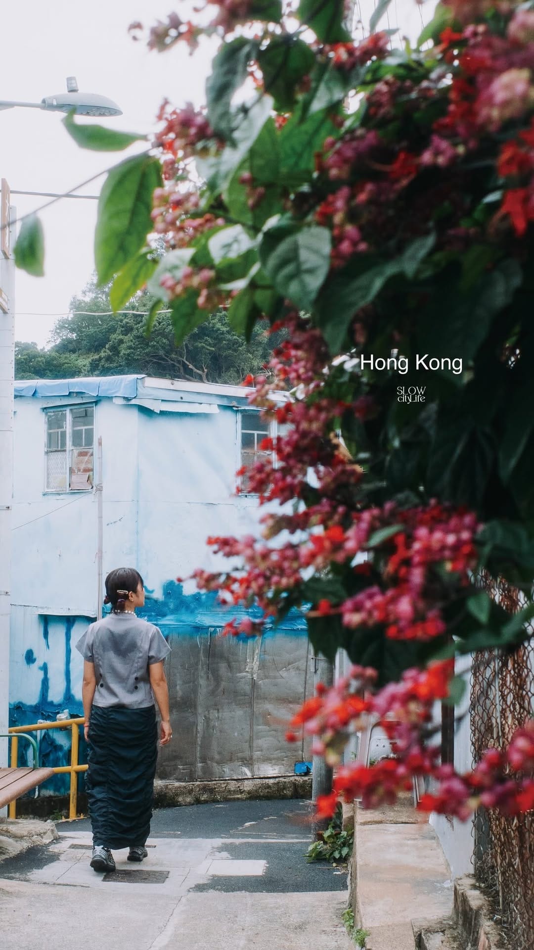 Post 4 by 香港/奄美/台湾カメラマン＊CHANRiNA / Hong Kong , Taiwan photographer on Instagram (video)